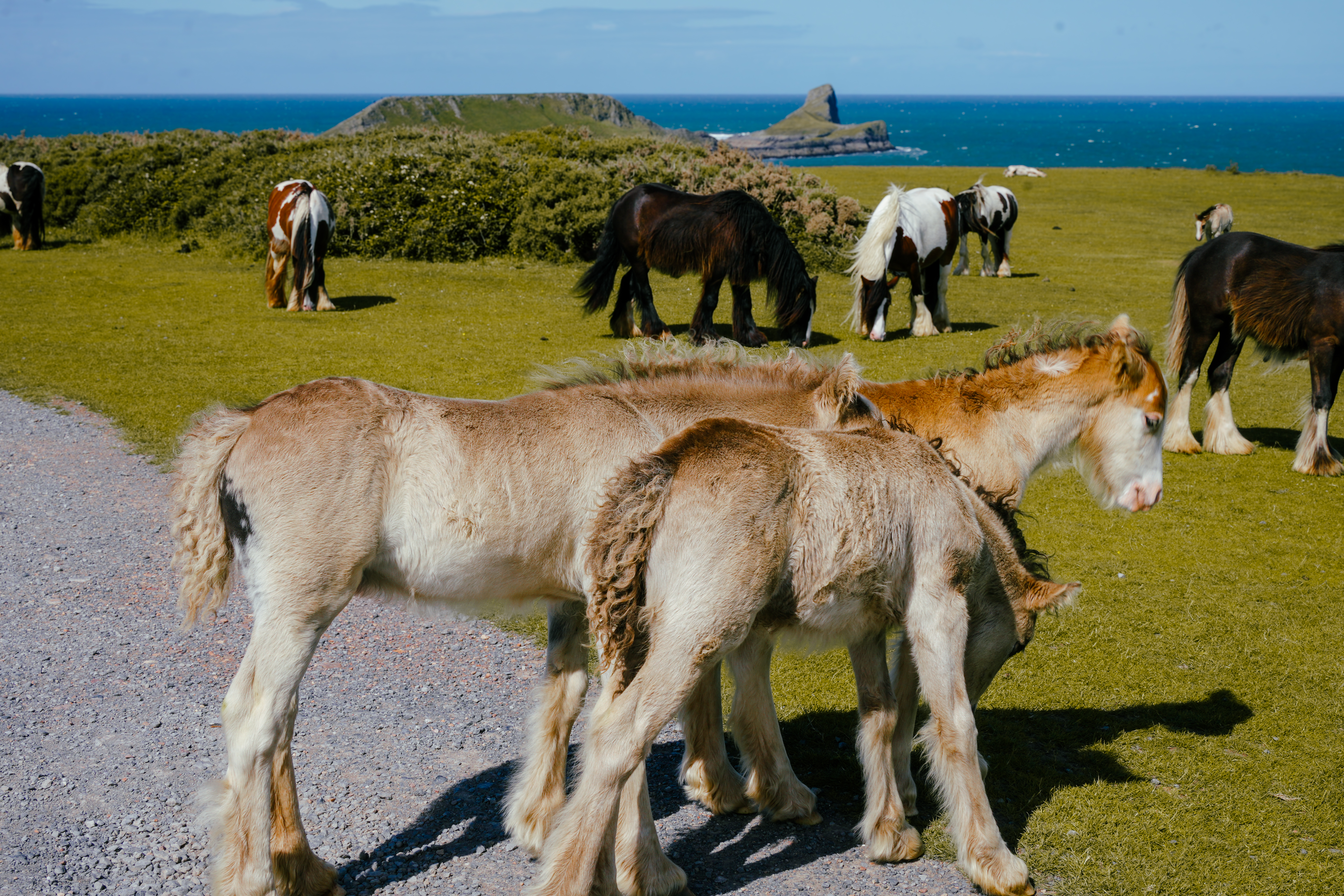 Rhossili Bay landscape photograph