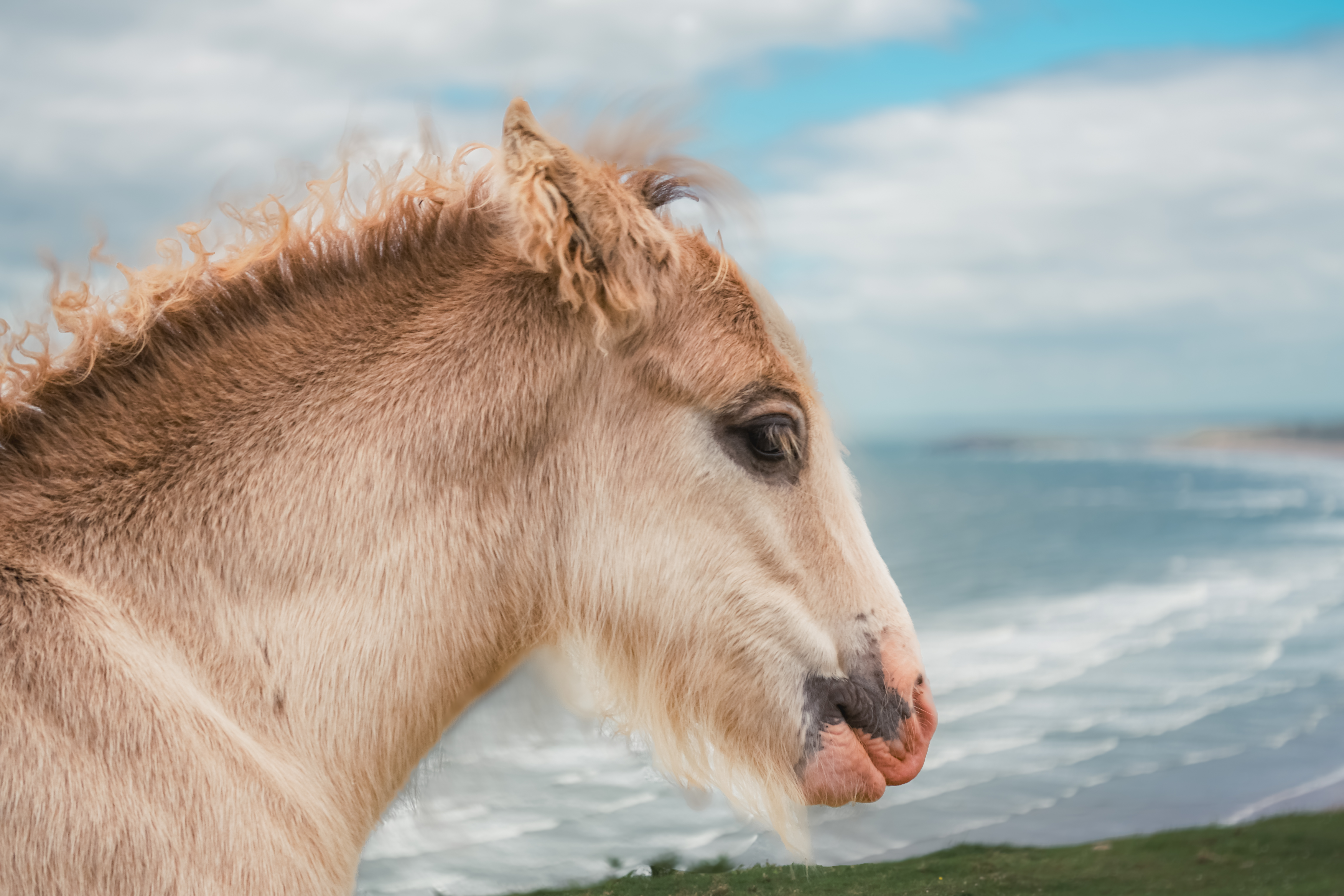 Rhossili Bay landscape photograph