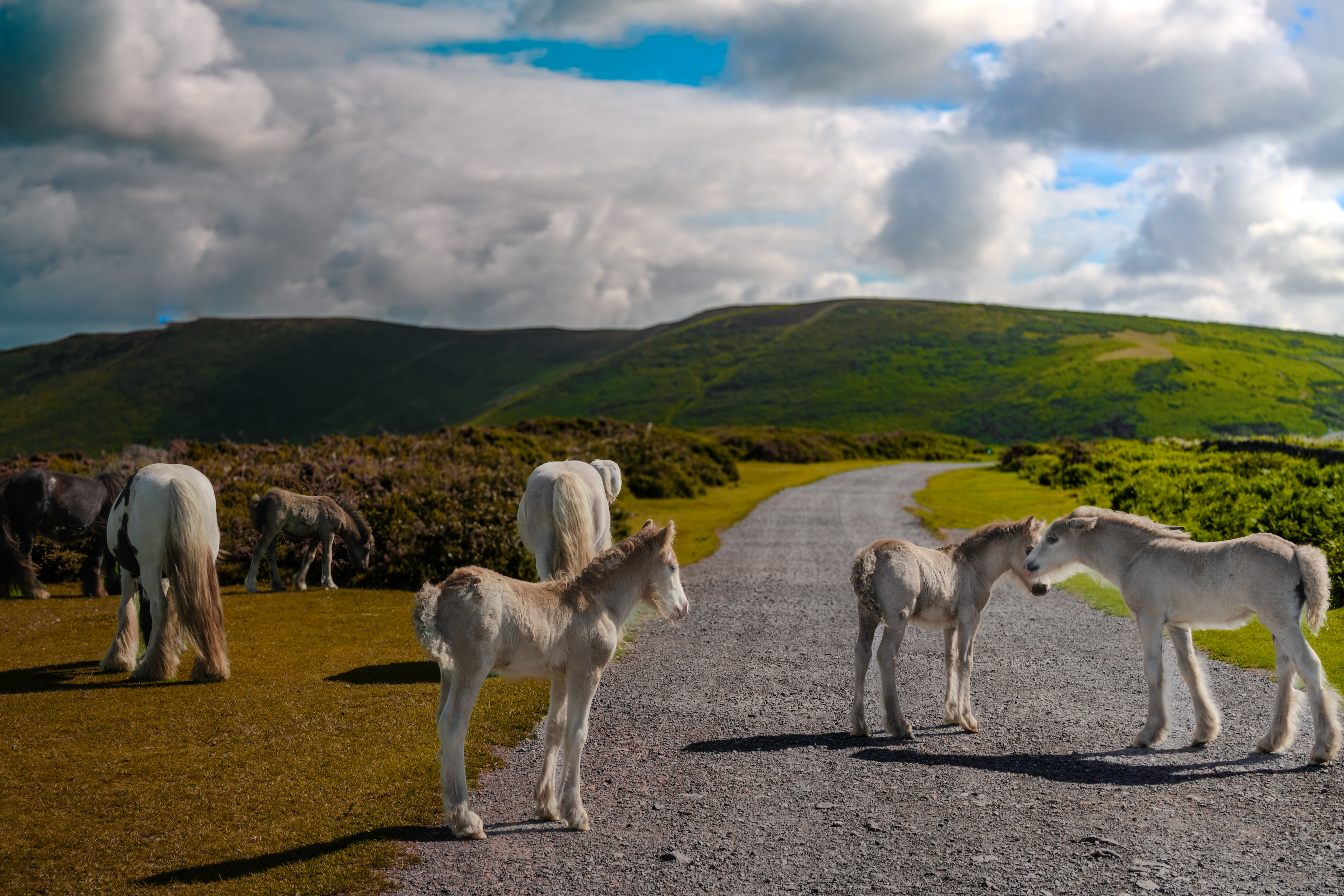 Rhossili Bay landscape photograph