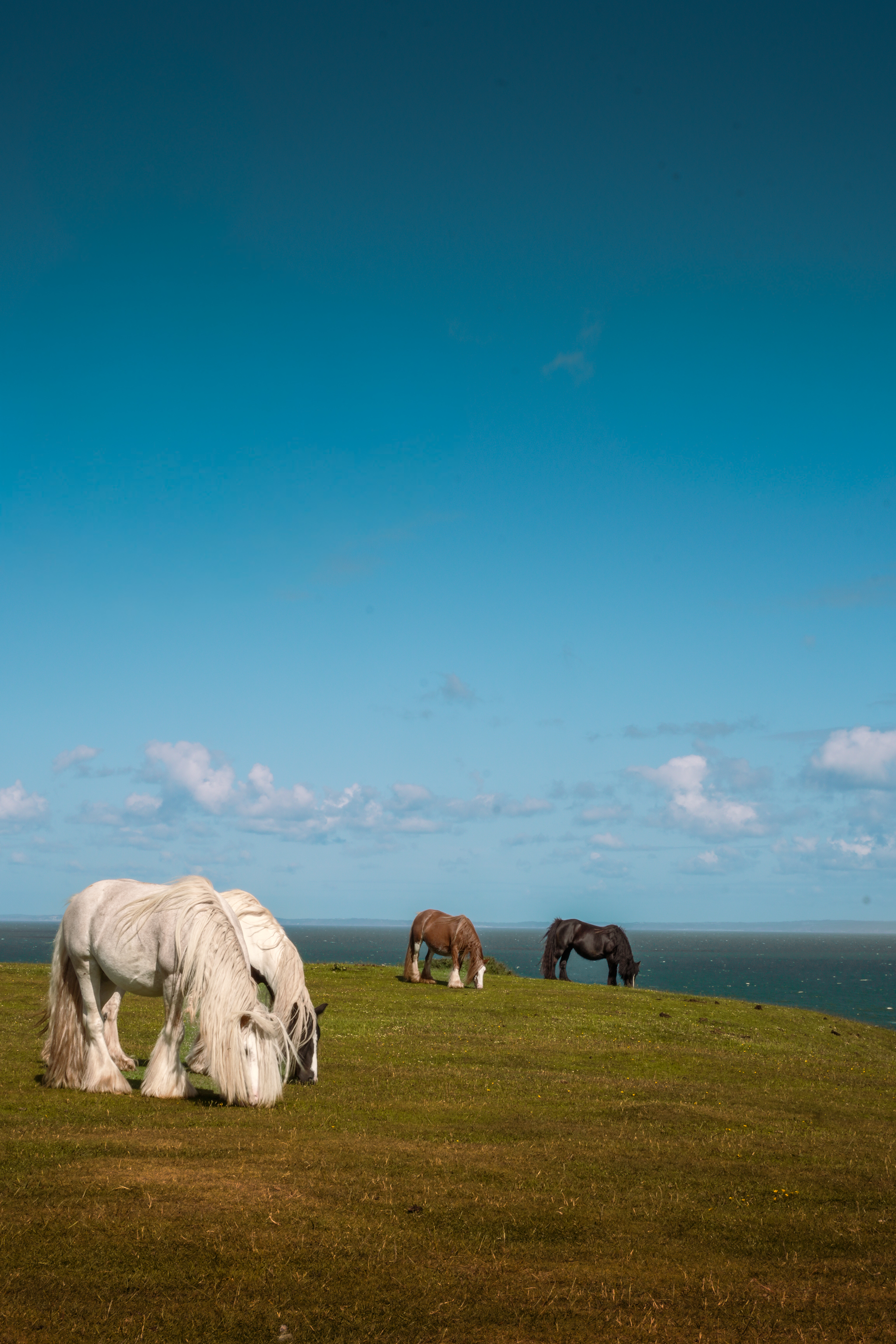 Rhossili Bay coastal photograph